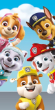 Osuška Paw Patrol PP327 70/140